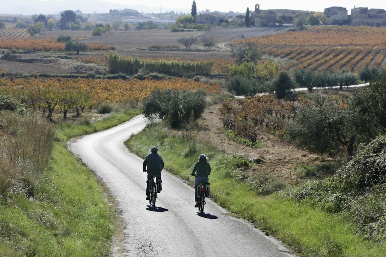 PENEDES PENEDES