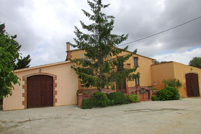 Alsina Sarda3