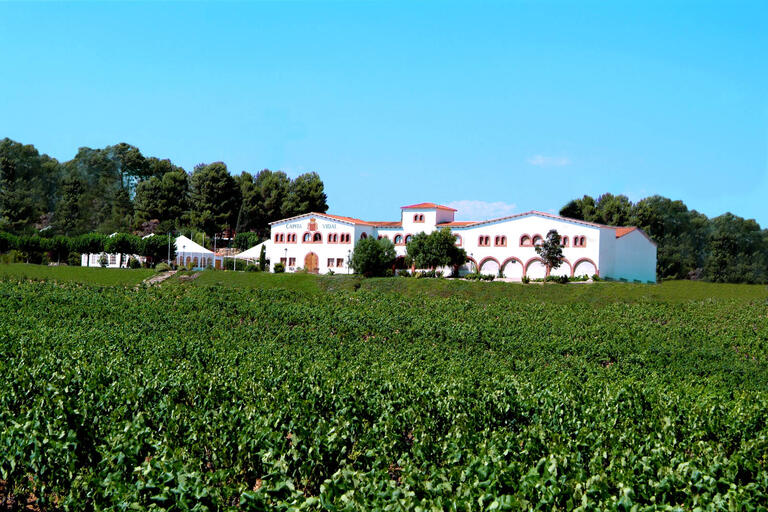 Capita Vidal1
