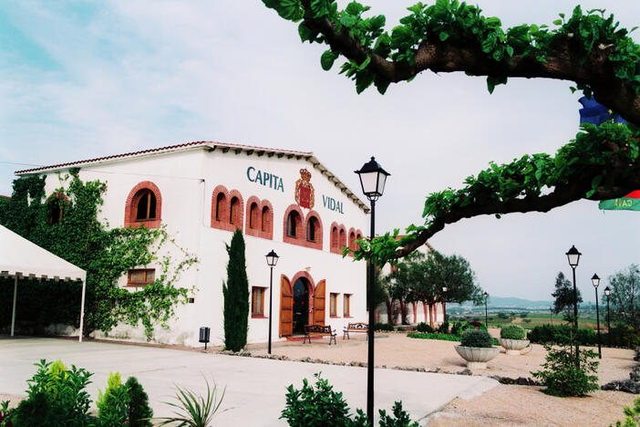 Capita Vidal2