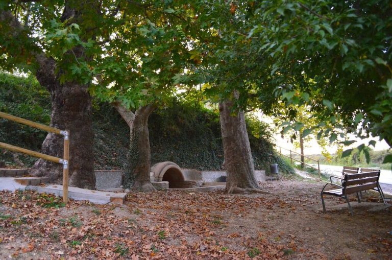 Font del Esteve1 768x509