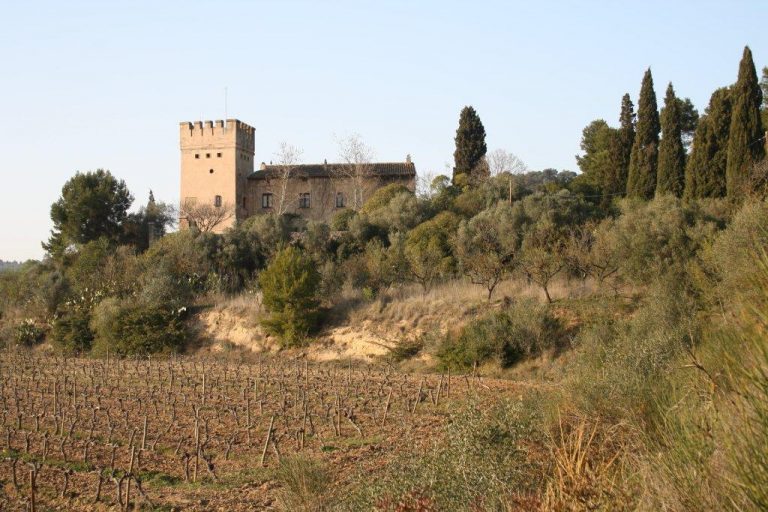 LAguilera 768x512