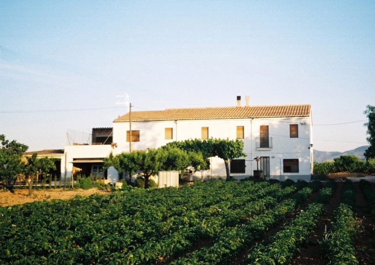 Mas Prat1 768x543