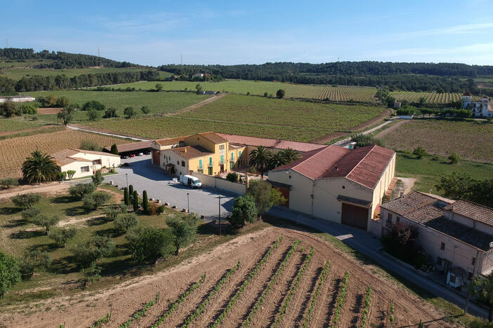 Parato5
