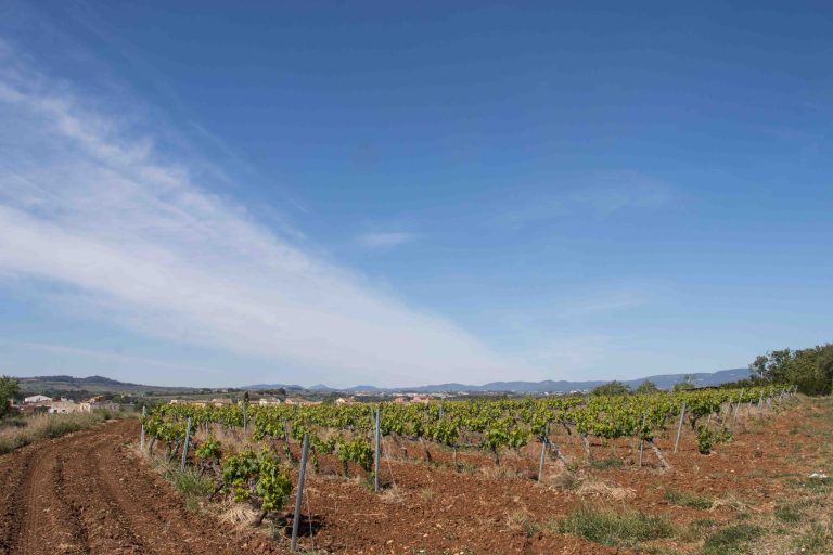 RUTES PLA 7 768x512